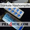 Stärkste Nashornpille 40